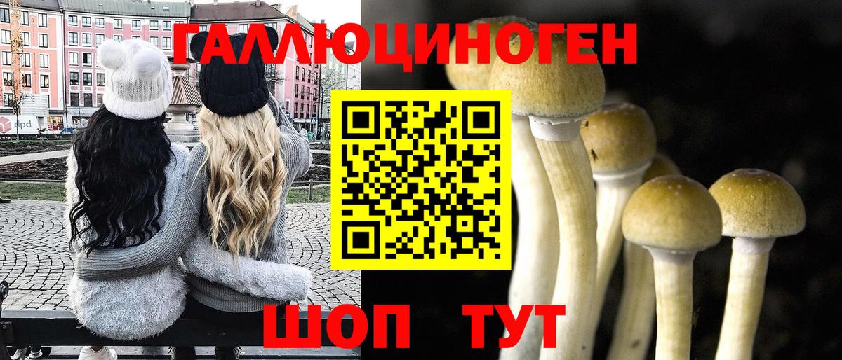 Павлово  Псилоцибиновые грибы Magic Shrooms  Вход с VPN  Галлюциногенные грибы мицелий 
