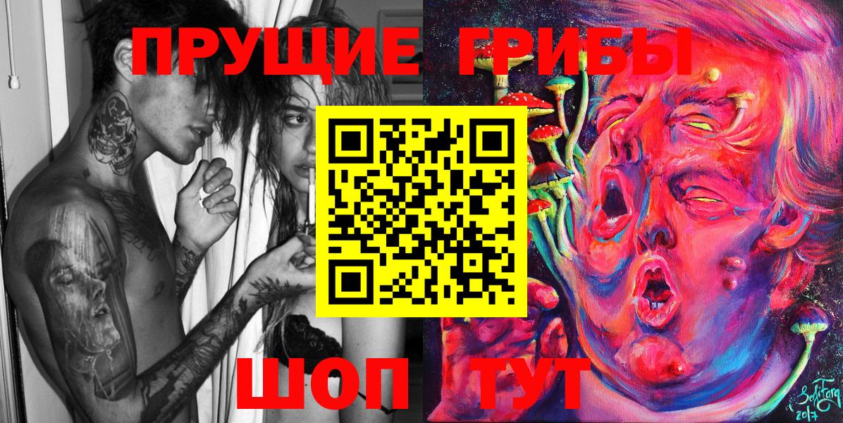 Галлюциногенные грибы Psilocybe Павлово